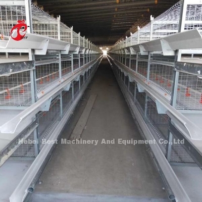 H Tipi Broiler Tavuk Kafesi CE, Tam Otomatik Broiler Kafes Ekipmanları Adela