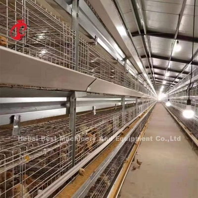 H Tipi Broiler Tavuk Kafesi CE, Tam Otomatik Broiler Kafes Ekipmanları Adela