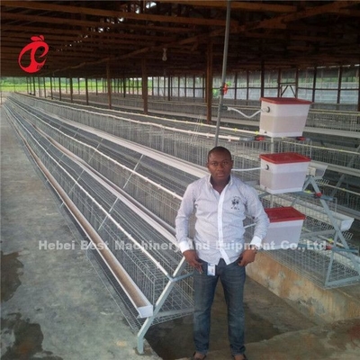Yarı Otomatik Tavukçuluk Kafes Sistemi, 380V 1.5KW Yumurta Katman Kafesleri Ada