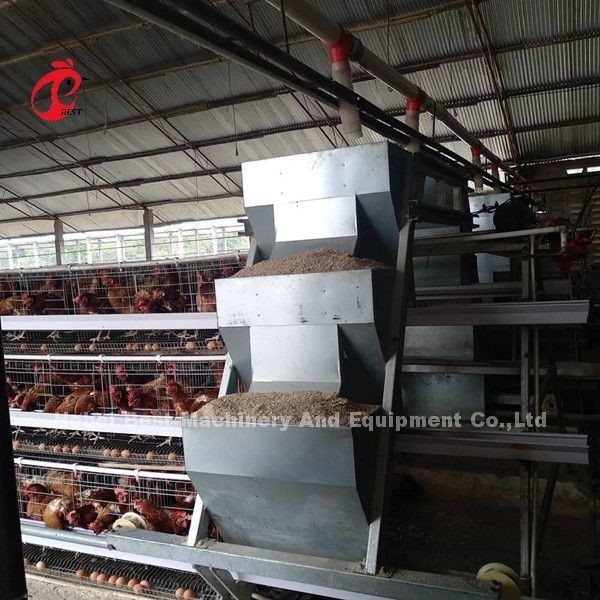 Yumurtlayan Tavuk 96 Kuşlar Broiler Pil Kafes Sistemi Dayanıklı Korozyon Direnci Emily