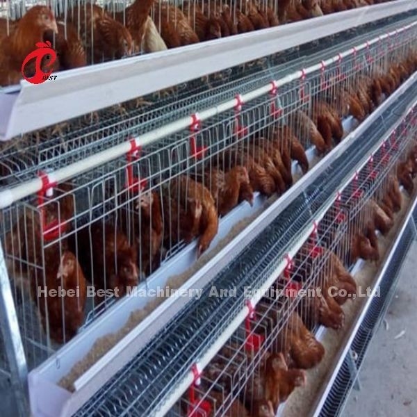 Bir Tip 4 Katman Gümüş Galvanizli Katman Pil Kafes Sistemi Adela