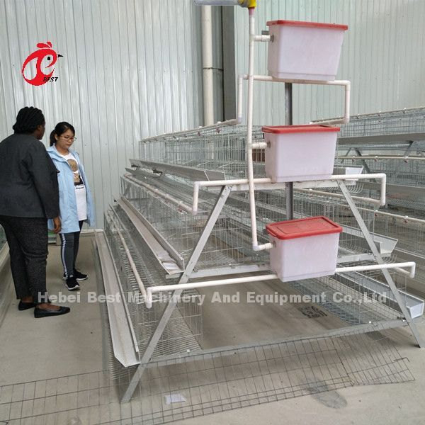 A Tipi Tavuk 128 kuş Tavuk Tavuk Pil Kafes Sistemi Nijerya Çiftliği Doris için Sıcak Dip Galvanize