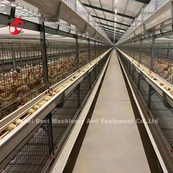 A And H Kümes Hayvanları Broiler Kafesi Günlük Civcivler İçin Yetiştirme Ekipmanları Sandy