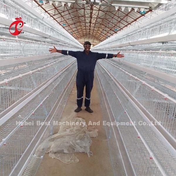 Tavuk Çiftliği Sandy için 5 Tier 200 Kuş Galvanizli Kanatlı Katmanlı Kafes Sistemi