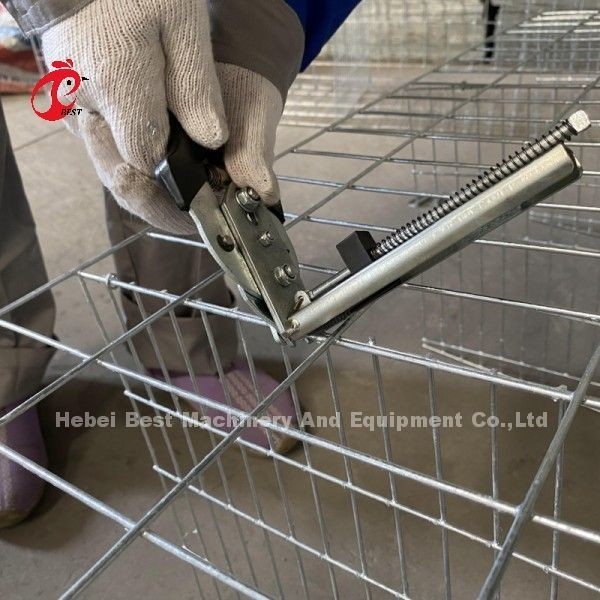 Galvanize Bir Tip 3 Katman veya 4 Katman Tavuk Tavuk Katmanı 45.000 Kuş için Pil Kafes Tavuk Tavuk Çiftliği Doris