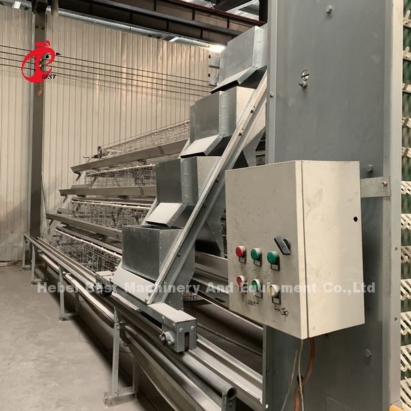 Tavuk Evi İris İçin Profesyonel Tam Otomatik Tavuk Kafesi Ekipmanında Fabrika Fiyatı