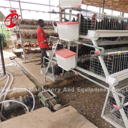 Kanatlı Tavuk Evi Yıldızı için 220V 380V Kazıyıcı Tip Gübre Temizleme Makinesi