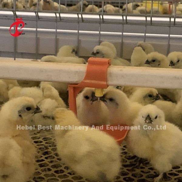 Pratik 380V Tavuk Kuşatma Kafesleri Afrika'daki Çiftlik Iris'teki Tavuklar