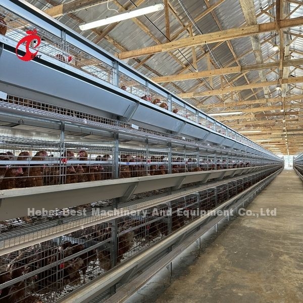 Kanatlı Çiftliği Özel Boyutlu İris için Q235 Çelik Tavuk Pil Kafesi