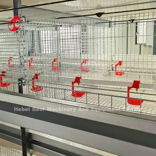 Q235 Çelik Daha Güçlü Kablo Broiler Kafes 1.5m X 2.2m X 1.75m Adela