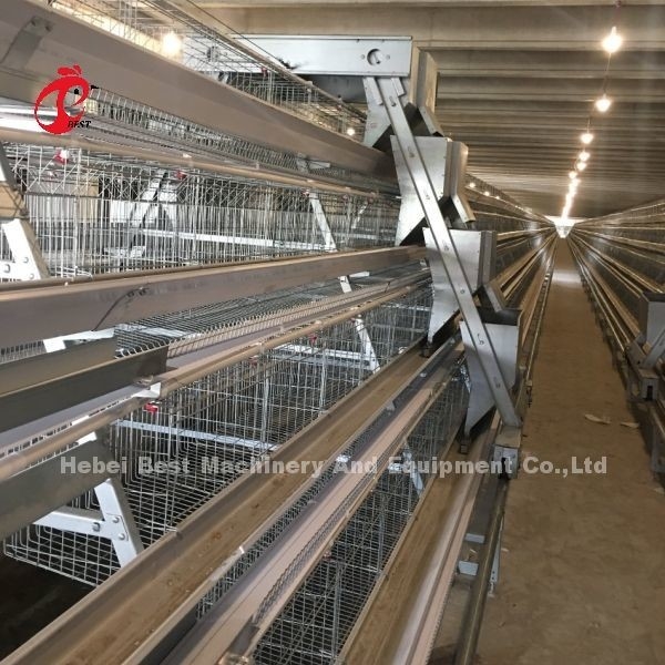 Otomatik Katman Tavuk Tavuk Çiftliği Iris için 3/4/5 Katman Pil Kafes Sistemi