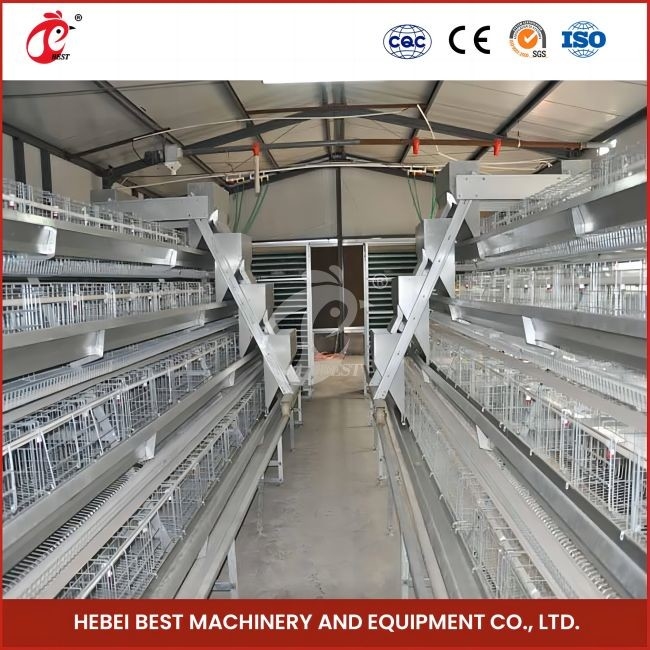 96 Kuşlar H Tipi Otomatik Tavuk Tavuk Kafesleri / Bir Tipi Broiler Tavuk Kafesleri Kaydırıcı Kapılı Gül