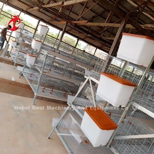 3 veya 4 Katlı Tavuk Yetiştirme Kafesleri H Kemer El Temizlik Sistemi 2x2x1.6metre Doris