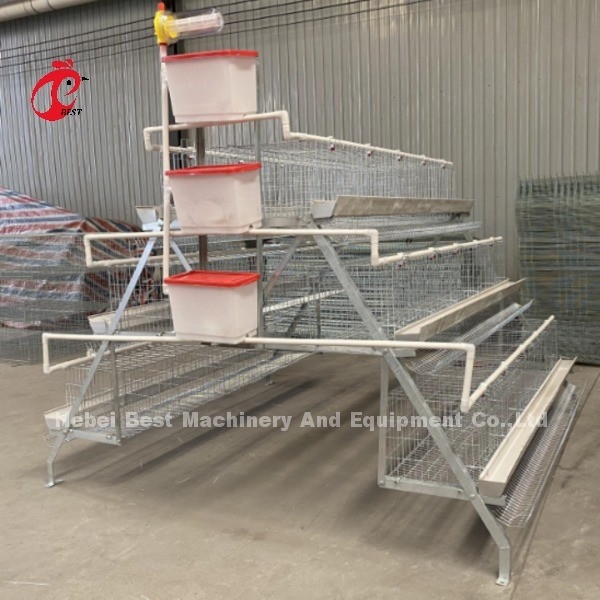 Özel Galvanizli Çelik A Tipi Tavuk Katmanı Kafesleri