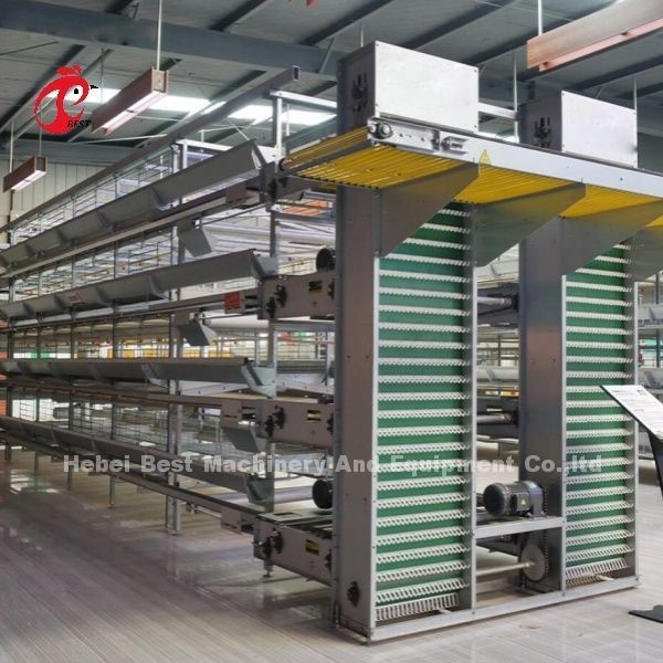Modüler Tavuk Kafesleri Sistemi Katmanlı Çiftlikler İçin Sıcak Dip Galvanize Pil Kafes Kapasitesi 96-200 Kuşlar Sandy