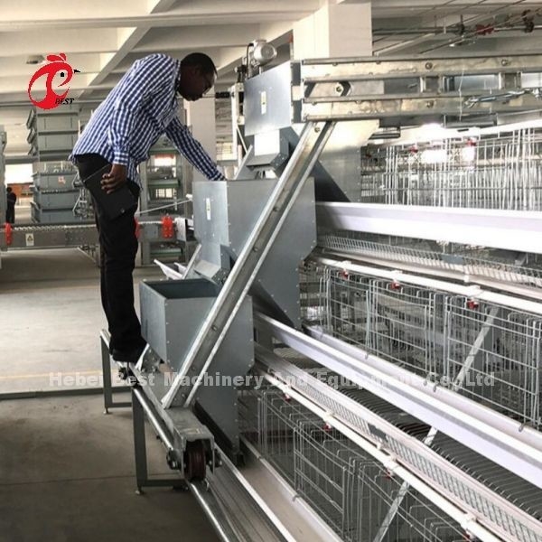 Tavuk yetiştiriciliği için üst katman pil kafes sistemi 96-200 Kuşlar Güçlü Tel Yapısı Iris