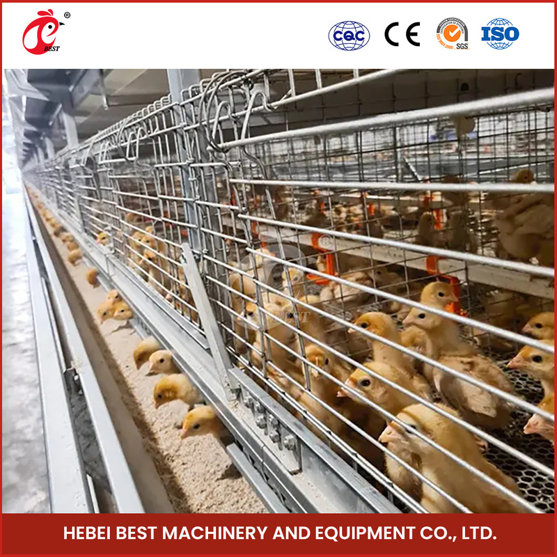 2,8-3,5 mm çapında kafes teline sahip galvanizli tavuk yetiştirme kafes sistemi Mia