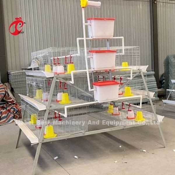 Bir Tür Broiler Pil Kafesleri Galvanize Yüksek Güçlü Tavuk Broiler Kafesleri Iris