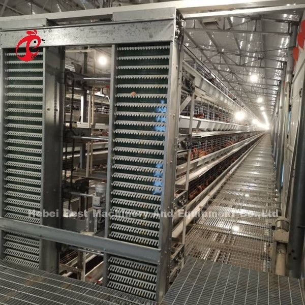 Özel Otomatik Yumurta Toplama Besleme Hopper Sistemi 30.000 Tavuk Çiftliği Doris için