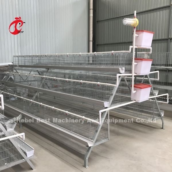 Soğuk Galvanizli Piliç Kafes Sistemi 40 kapılı Yumurtlama Tavuk Kafesi Adela