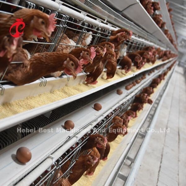 İyi Fiyat Sıcak Galvanizli Katmanlı Çiftlik Kafes Sistemi A tipi Satılık Adela