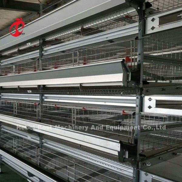 Batarya Otomatik H Tipi Tavuk Kafes Sistemi Sıcak Satış 240Birds Rose