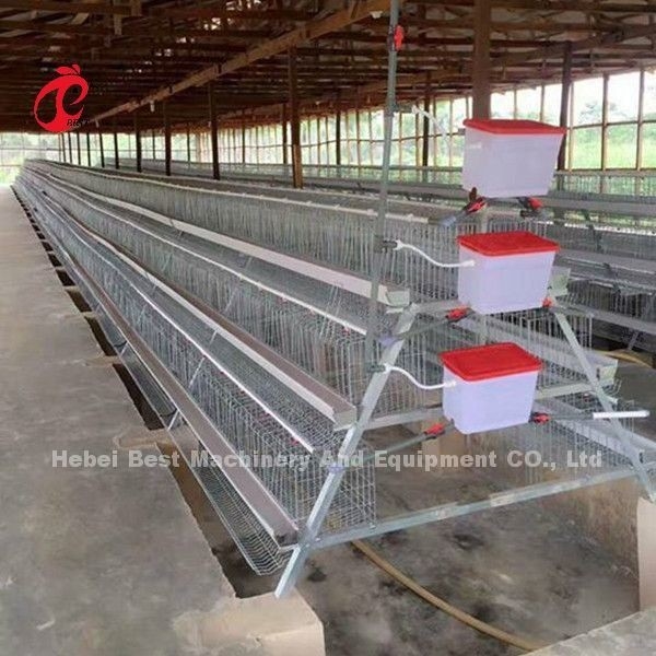 Nijerya'da Ticari Tavuk Katmanı Pil Kafes Sistemi 2.0m * 2.0m * 1.45m Yıldız