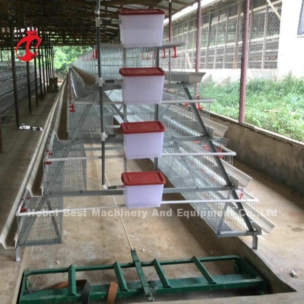 Otomatik Katman Pil Kafes Sistemi Ticari Katman Tavuk Kafesi 3 Katlı Sıcak Satış Gül