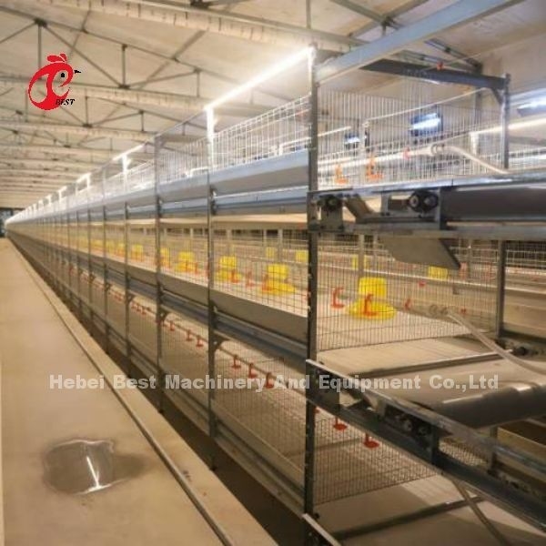 H Tipi Broiler Tavuk Kafesi CE, Tam Otomatik Broiler Kafes Ekipmanları Adela